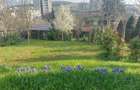 inchiriere apartament 2 camere, 45 mp zona liceelor pedagogic, economic, papiu