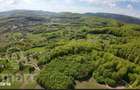 Proprietate exclusiva in inima naturii 13.700 mp cu padure proprie - 4