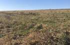 Vand teren 38575 mp Dealu Mare Jud Botosani - 1