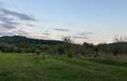 Teren de 2700 mp, în Brănești - 3