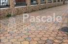 Apartament de inchiriat 2 camere, la vila moderna, ?elimbar - 1