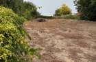 Casă cu Teren 2000 Mp în Prundu - 10