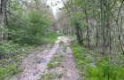 Teren 755 mp, Dem Radulescu, la 7 min de centrul orasului Rm Valcea - 2