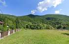 Vand teren in Retezat, 1260 mp, zona Raul Mare, intre pensiuni si case de vacanta - 5