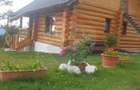 Proprietate cu Potential Triplu..LOCUINTA,INVESTITIE,TURISM!! - 4