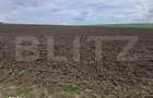 Teren de vanzare intravilan, 33 ari, Cumparatura - 1