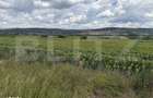Teren intravilan in localitatea Bobota in suprafata de 11500 mp - 3