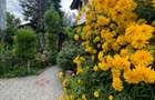 Vanzare vila lacul Baneasa - 22