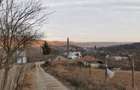 Teren de 6000 mp, în Priboieni - 4