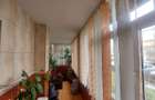Apartsament 3 camere Parter cu balcon si beci pe toata lungimea apt. - 4