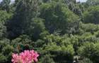 Apartament 3 camere 100 mp, decomandat + garaj | Horea Str. Campeni - 10