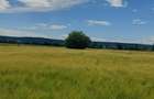teren intravilan de vanzare - 10