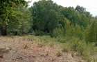 Teren de 3500 mp, în Valea Babei - 2