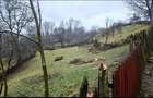 Teren intravilan 1.131 mp | Valea Doftanei | panorama spre munte - 3