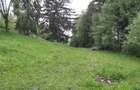 Teren de 9042 mp, în Moisei - 5