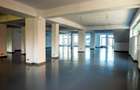 Spatiu comercial de inchiriat - 4