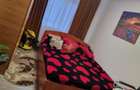 Ofer spre inchiriere casa 2 camere in Albestii de Arges