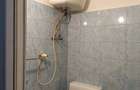 Proprietar 150 euro Iosefin - 4