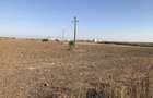 Teren Extravilan 2hectare in Chitila perfect pentru constructii - 2