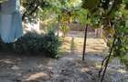 Vand casa cu gradina 1500m an sibiselu vechi hd.