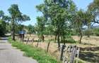 Teren intravilan in Bucova, comuna Bautar, la 3 euro mp - 3