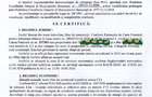 Teren de 681 mp, aproape de padure – liniste, aer curat si racoare naturala!