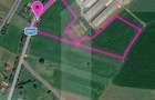 Teren extravilan de vanzare, 20000 mp, zona Hiliseu-Horia