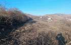Teren de vanzare - loc. Sard - 1700 m2