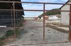 Ferma Agricola 1.350 HA Grad de Comasare 9697%, Jude?ul Arad - 7