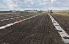 Ferma de vanzare | 3 ha | Intre Bucure?ti ?i Constan?a | Exploata?ie a - 8