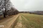Teren deosebit 3,5HA zona Cisnadioara - 6