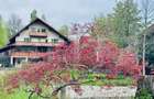 Casa de vanzare, 9 camere, 650 mp - Bran - 7