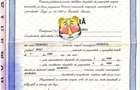 2 hectare ( 2 parcele fiecare cate 1 hectar ) + 600 mp intravilan - 3