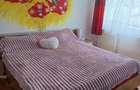 Apartament 2 camere Resita - 7