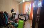 3 camere - Teiul Doamnei - Otesani - 1