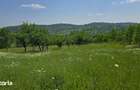 Teren de vanzare 6.352 mp Slavu (Prahova), extravilan, cale de acces - 5