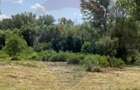 Teren-5000mp DN Ganeasa,sat Sindrilita,T9/Parcela 32/37 - 3