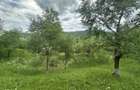 Agentia imobiliara VIGAFON vinde teren intravilan Telega-Prahova - 3