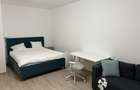 Apartament 1 camera cu terasa si loc de parcare, Torontalului, - 4