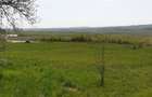 Teren vanzare Izvoarele, Voinesti, Dambovita 2298m2 - 4