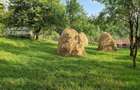 Vand teren in Valea Doftanei - 3