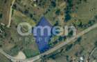 Teren extravilan 6923 mp in Berinta | Acces direct la DN | - 3