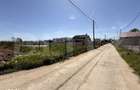 Parcele teren 500 mp, front 23 m si toate utilitatile, Balta Verde - 10