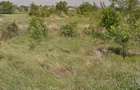 Vand teren - 1