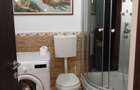 Apartament 3 camere Cal. Ferentari - 3