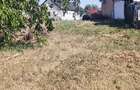 Teren intravilan/loc de casa in Vladimirescu Arad 118mp - 5