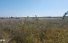 Teren de vanzare, 20.000 mp, sector 1, intravilan, curti-constructii. - 6