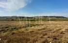 Teren intravilan pentru constructii de vanzare in Sannicoara - 1