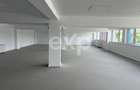 Clădire Mixtă Bd. Muncii Cluj – 10 Birouri + Hală 3290 mp - 0 Comision - 4