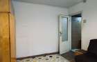 MT246 Apartament 2 camere, Sagului, parter-necesita renovare - 10